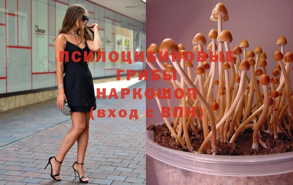 mdpv Богородицк