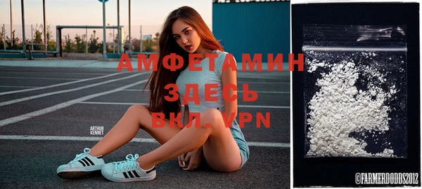 mdpv Богородицк
