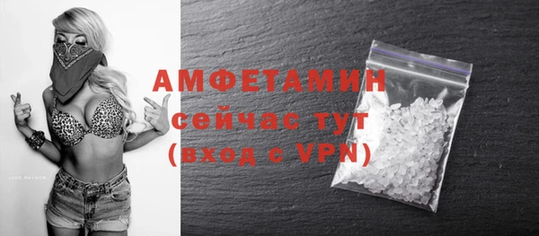 mdpv Богородицк