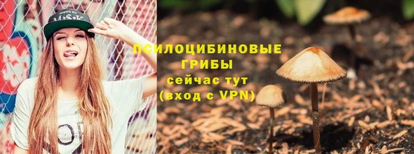 сатива Богородск